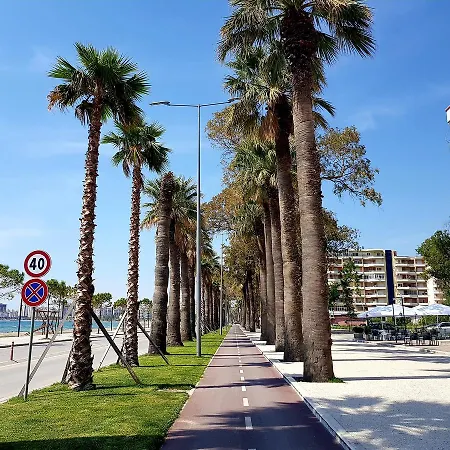 Flori * Vlore